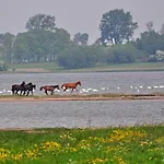 Gollwitzer Park - Insel Poel-7 By Interhome דירה