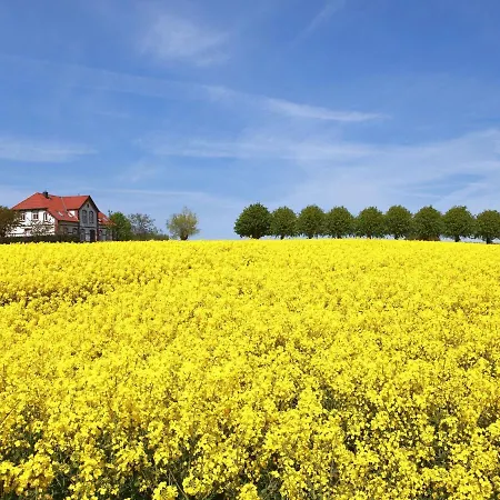 Gollwitzer Park - Insel Poel-7 By Interhome Apartmán
