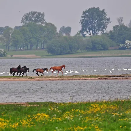 Gollwitzer Park - Insel Poel-7 By Interhome Apartment