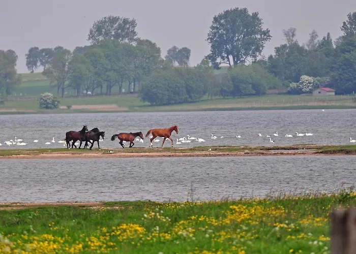 Gollwitzer Park - Insel Poel-7 By Interhome Διαμέρισμα